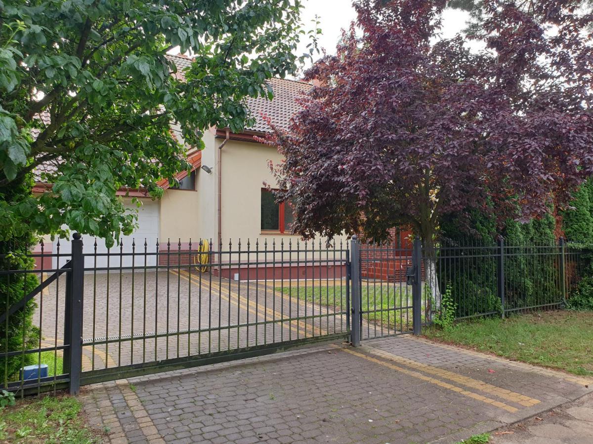 Messina Wyspa Sobieszewska * Gdańsk