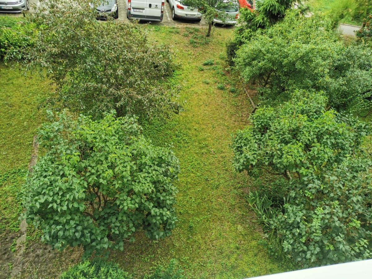 Apartament Apartament Wiewiorka Gdańsk
