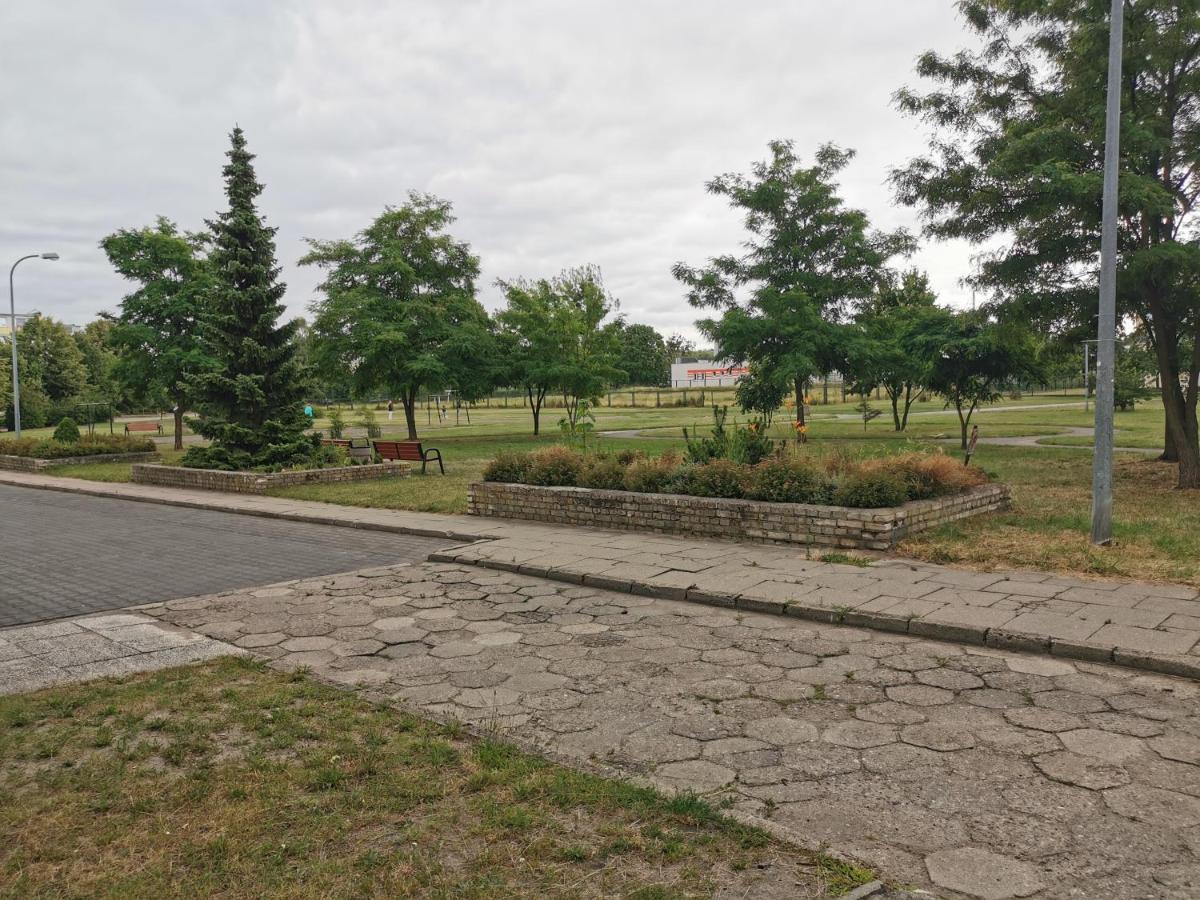 Apartament Wiewiorka *