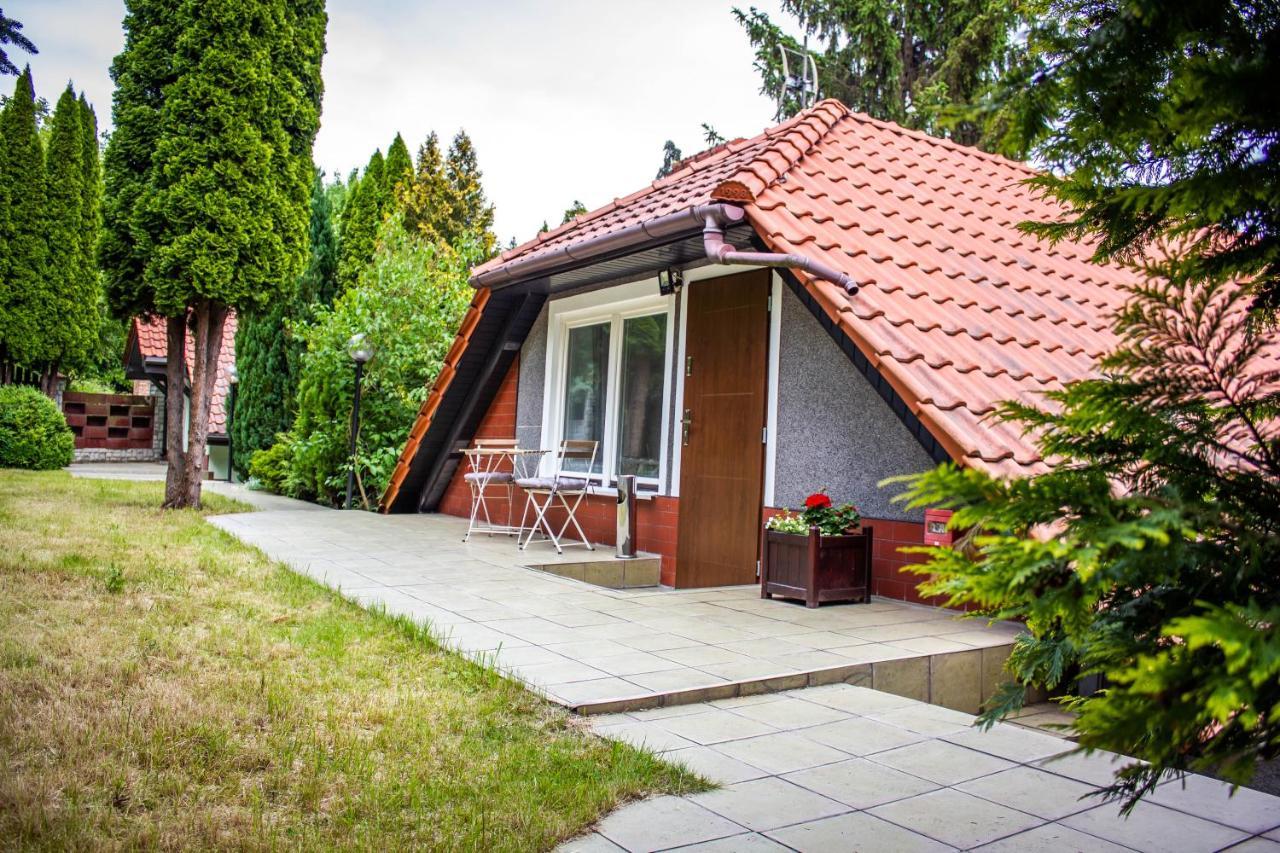 Szkocka Gdansk