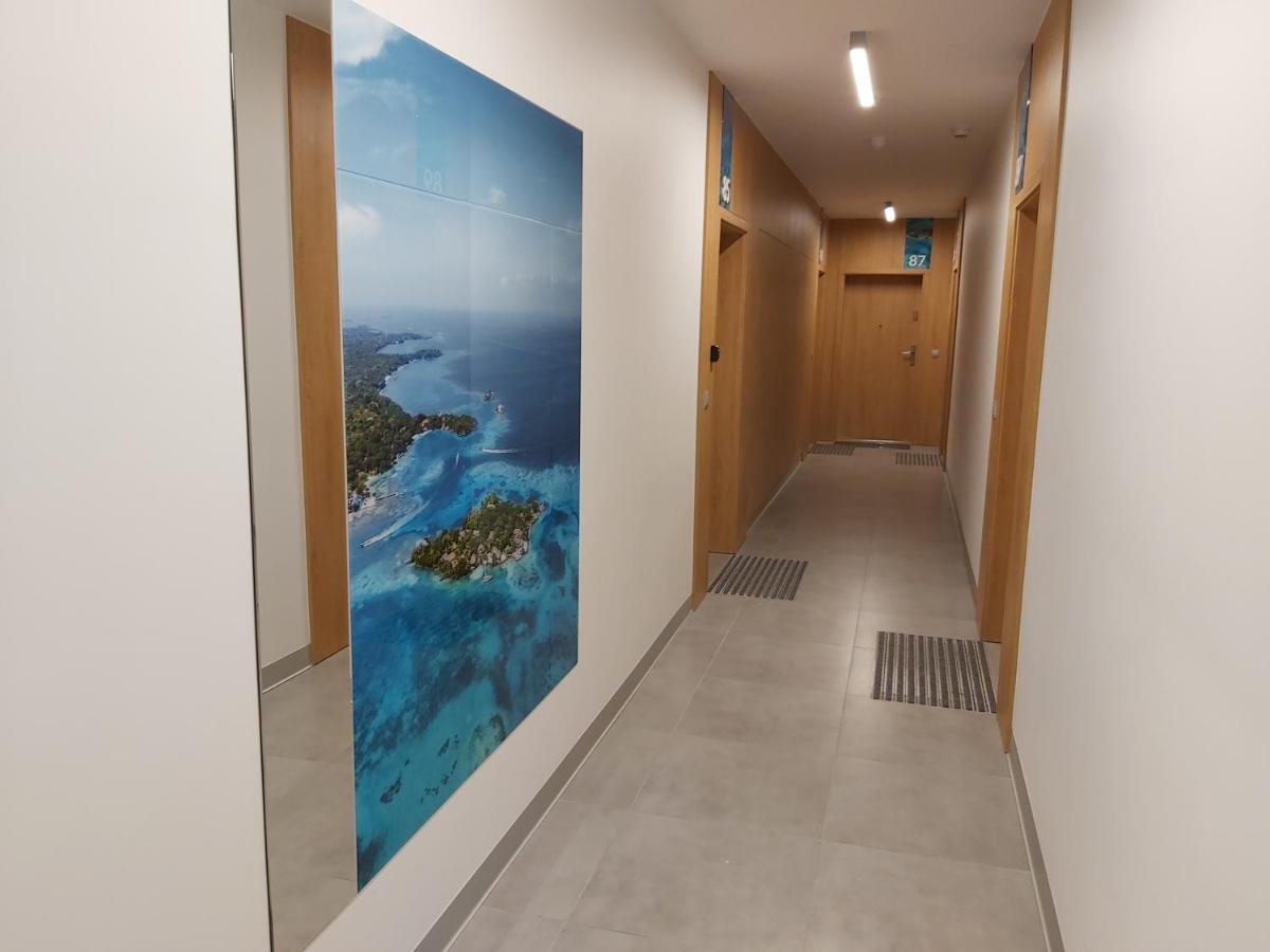 Spectrum Super Vip Free Parking Apartment