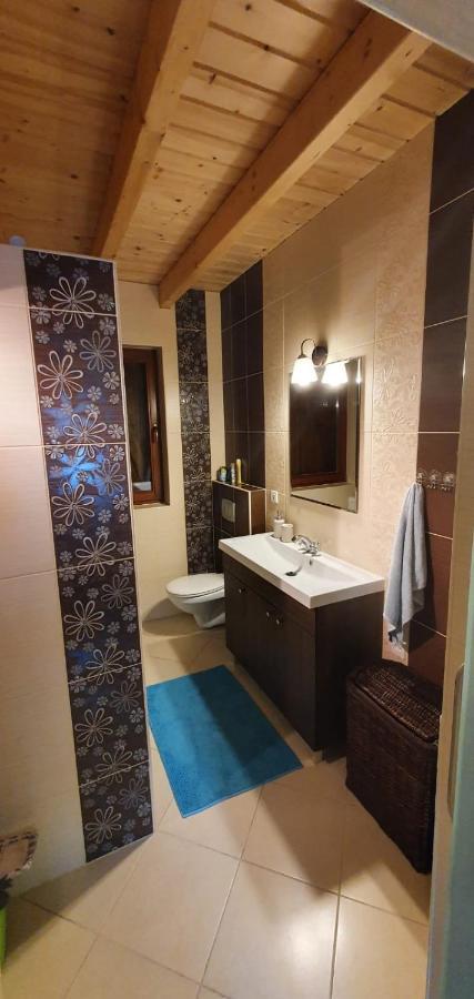 Wooden House&pool Villa Gdansk