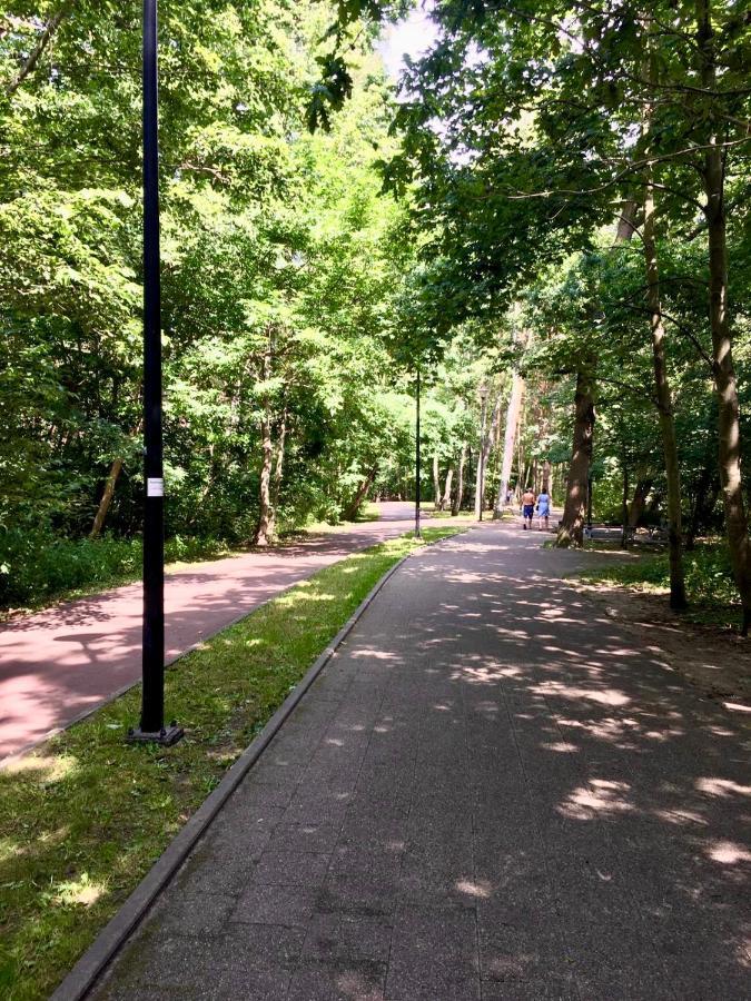 Kamien I Morze * Gdansk