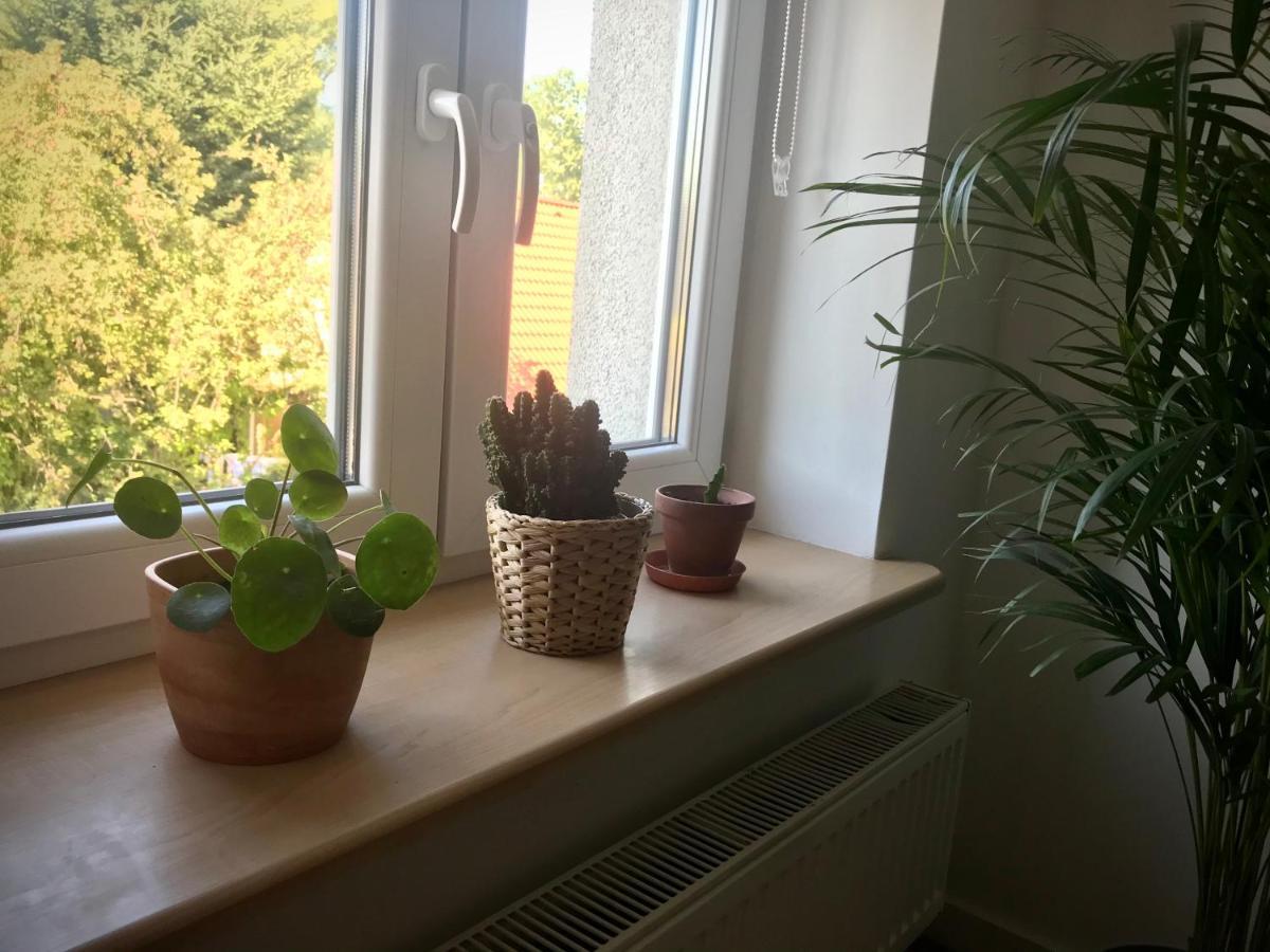 Apartament Flower Street *