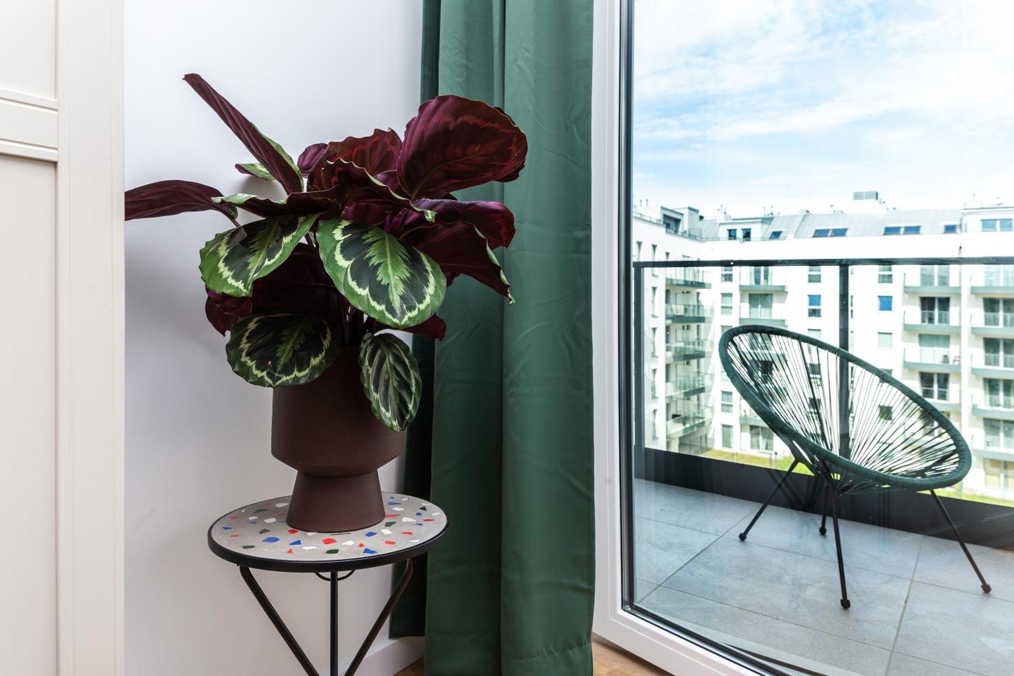 Apartment Pobookowane Barbary Delux Old Town