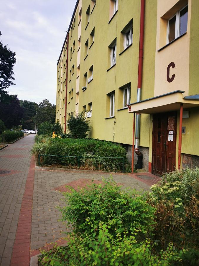 Apartment Mewahouse, Blisko Morza Gdansk