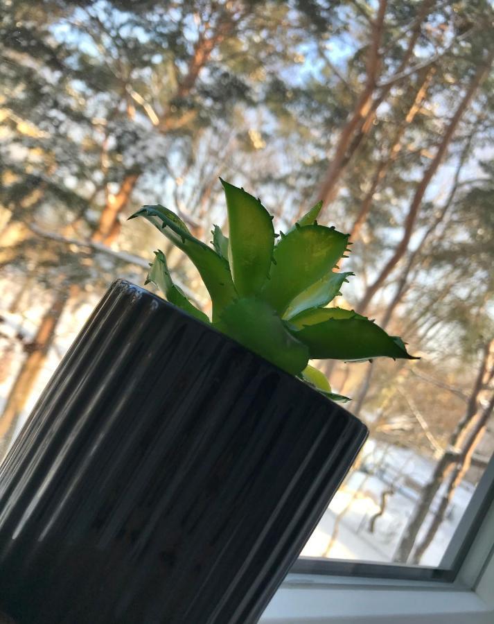 Apartment Apetyt Na Z Prywatna Sauna
