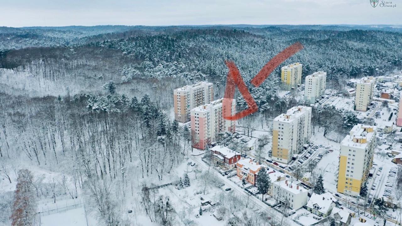 Apartment Lesny Zakatek Danzig