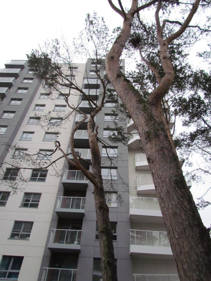 Apartment Antonio *