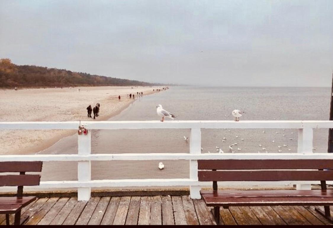 Căn hộ Apetyt Na Z Prywatna Sauna Gdansk