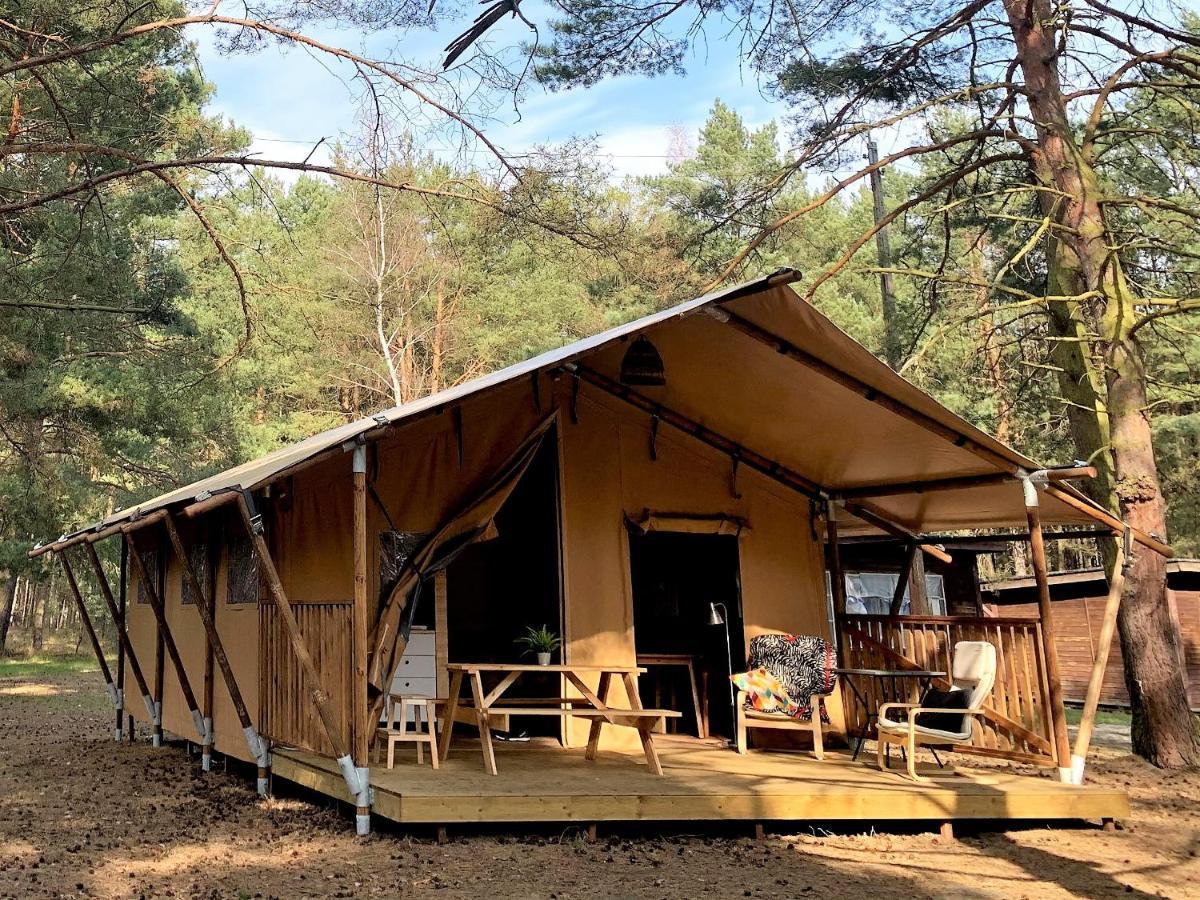 Acampamento Camp Bursztynowy