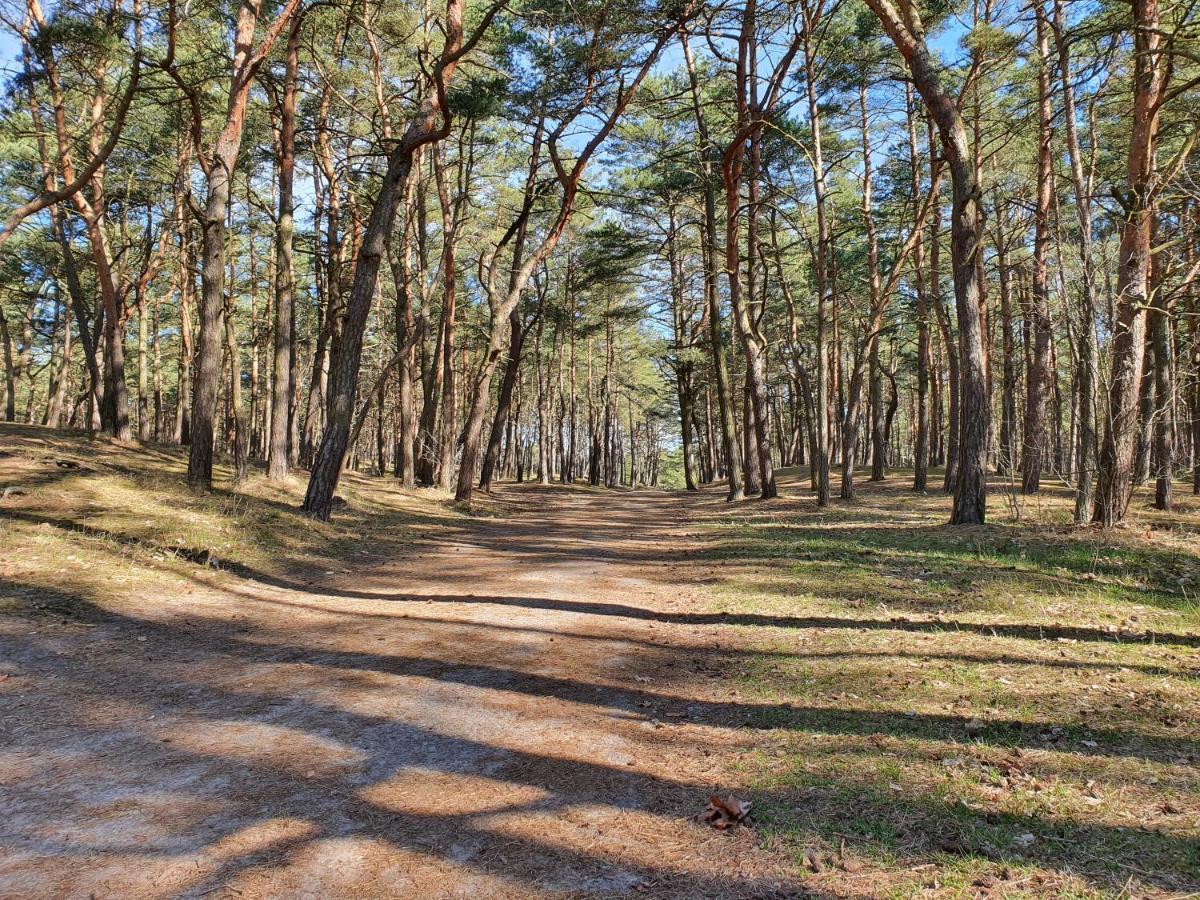 Wislany Przekop *