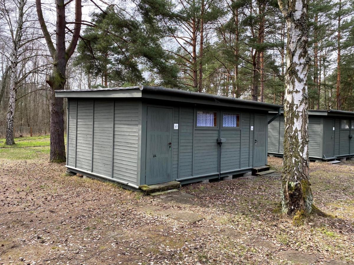 Camp Bursztynowy
