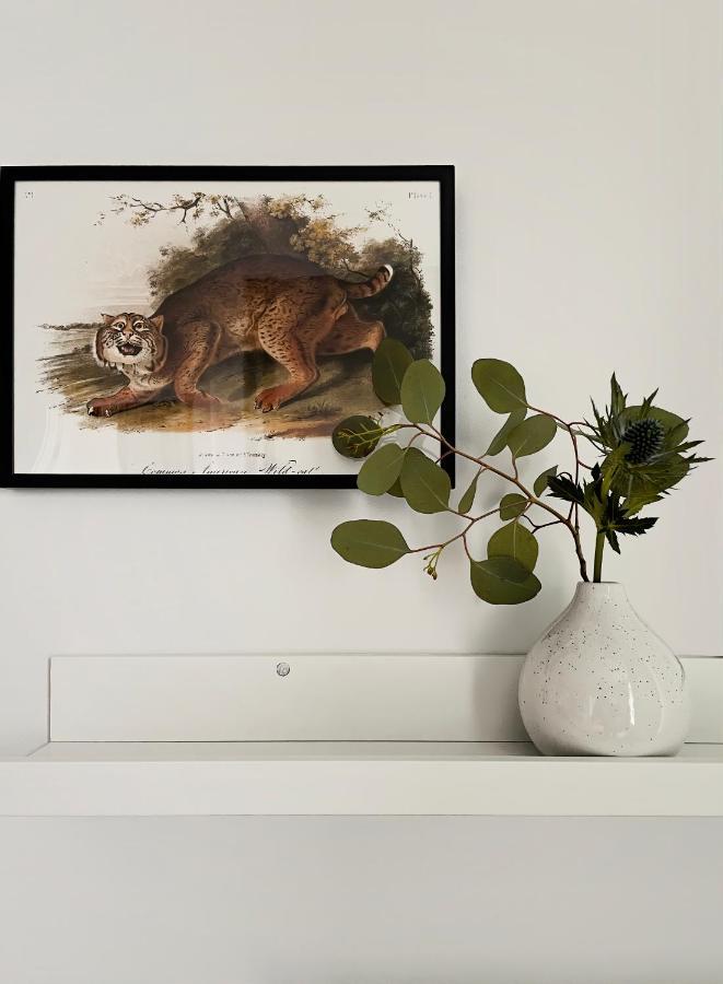 Lemur