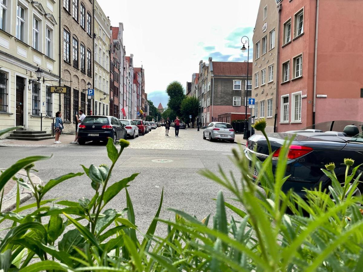 Apartament Warzywnicza Old Town Apartment *