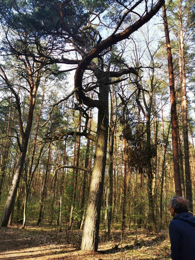 M&k Slomkowe Kapelusze - Sobieszewo, Wyspa Sobieszewska Gdańsk