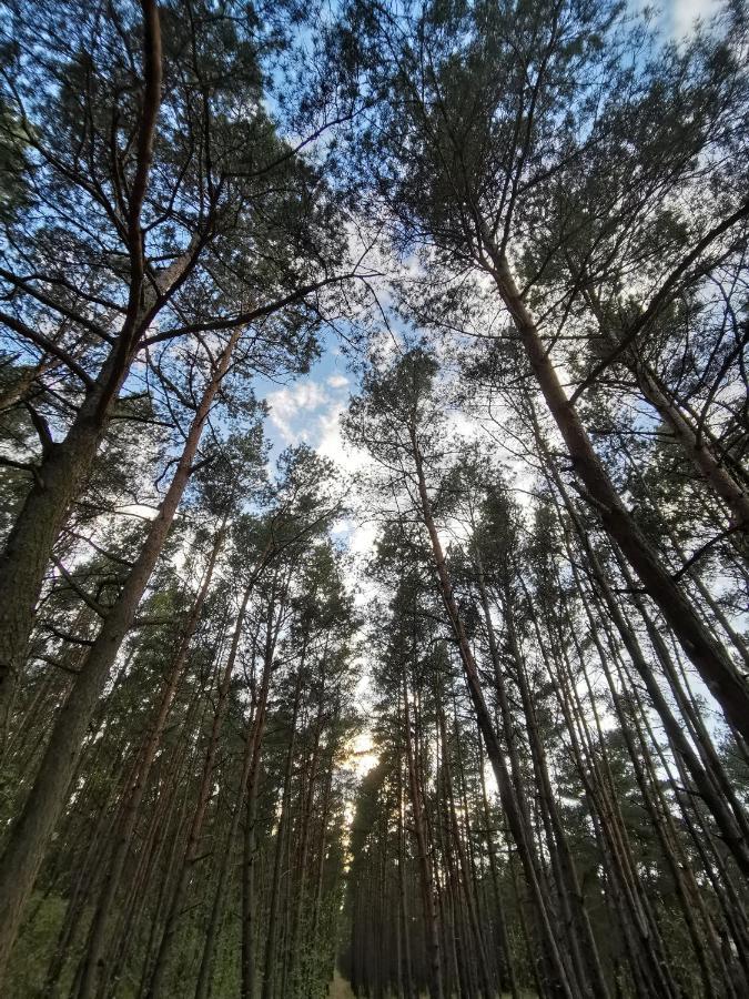 M&k Slomkowe Kapelusze - Sobieszewo, Wyspa Sobieszewska Gdańsk