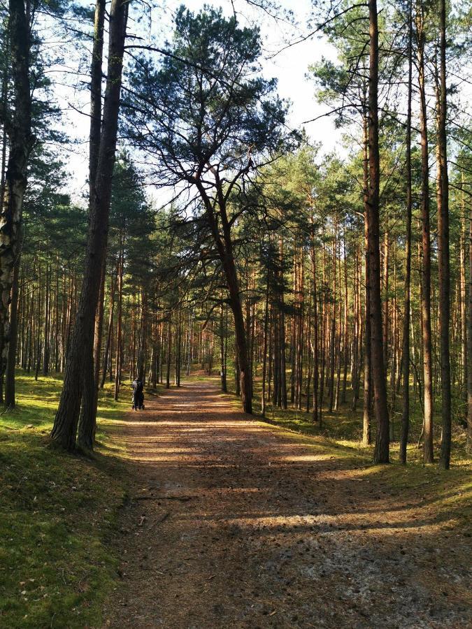 M&k Slomkowe Kapelusze - Sobieszewo, Wyspa Sobieszewska Leilighet Gdańsk