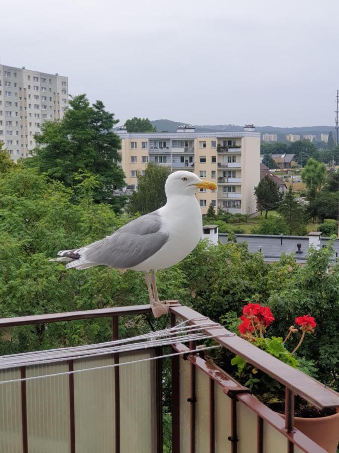 Przestronny Apartament Jelitkowo, Blisko Morza 2-pokoje 47m2 *