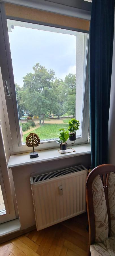 Apartament Zabianka House
