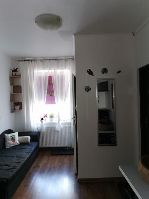 Nocleg Nad Morzem Homestay *