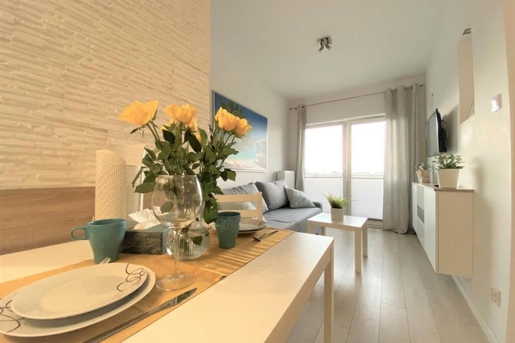 Stary Homely
