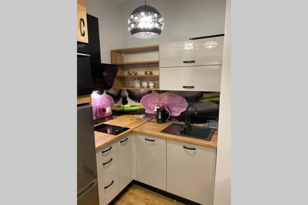 Apartament Danzig Apartment - w samym centrum Gdańska *