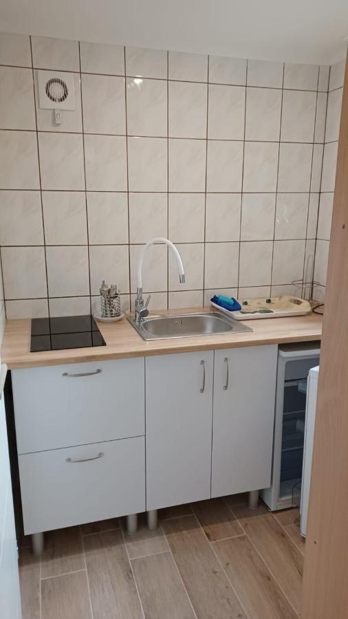 Dzika Plaza Homestay *