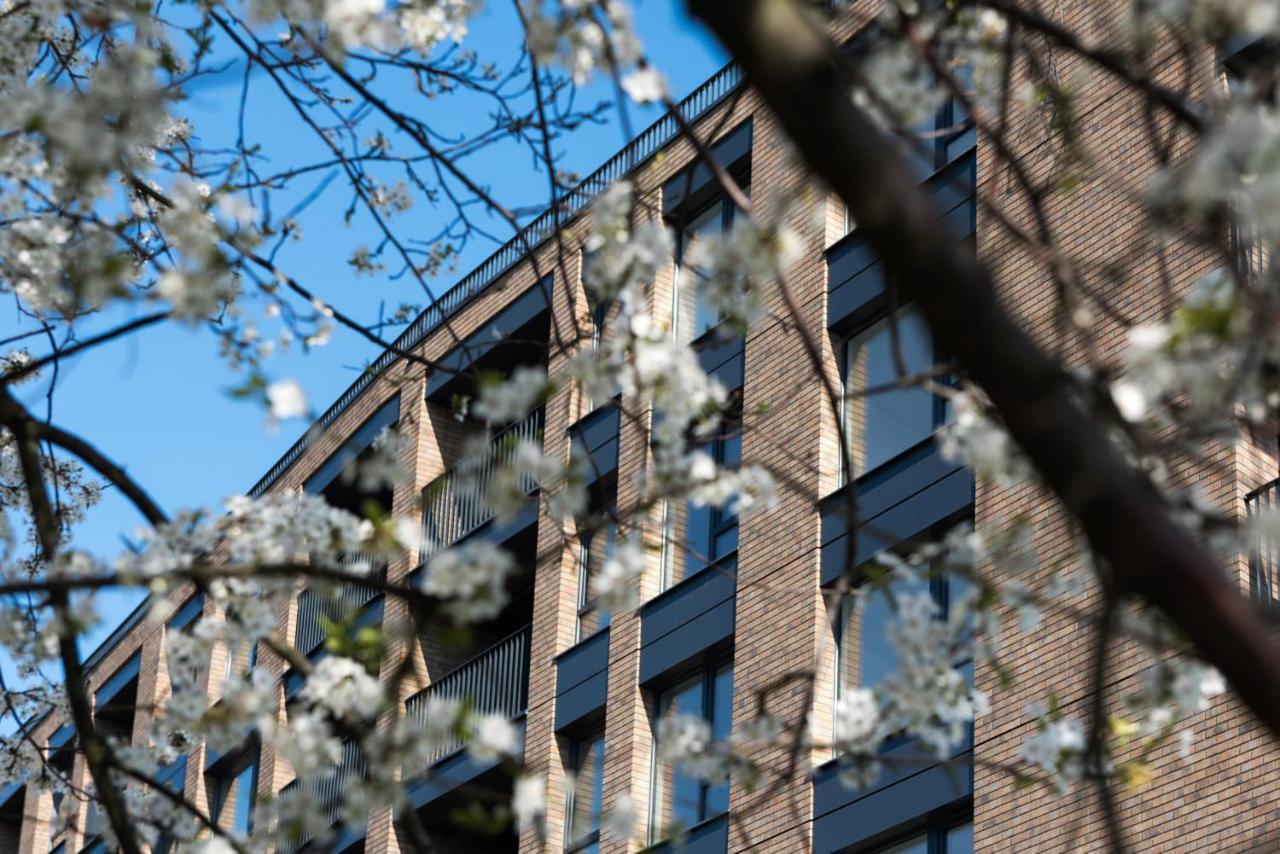 Apartment Chleblove Wonderland