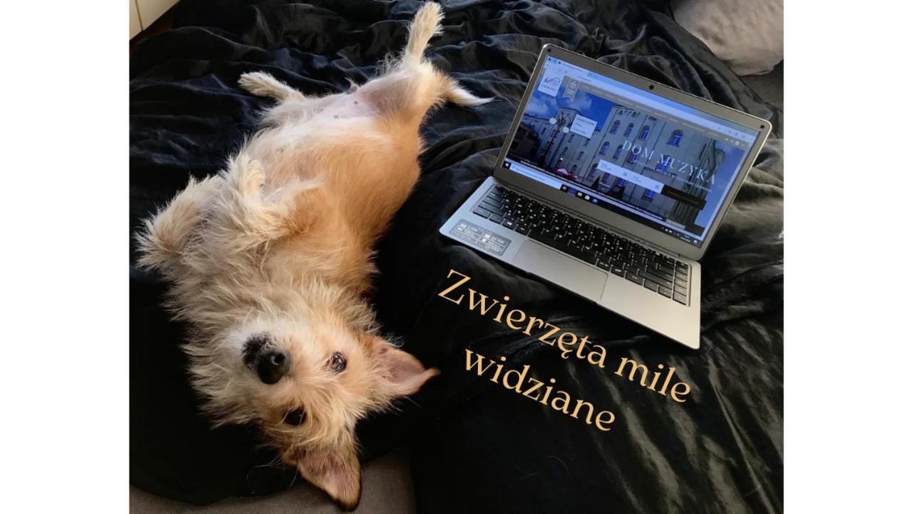 Dom Muzyka Lejlighedshotel 3*