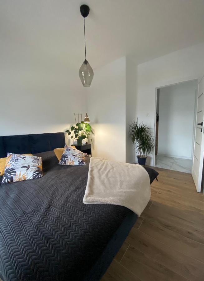 Apartament Voda Leilighet