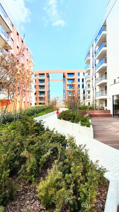 Amber Centrum Lux *