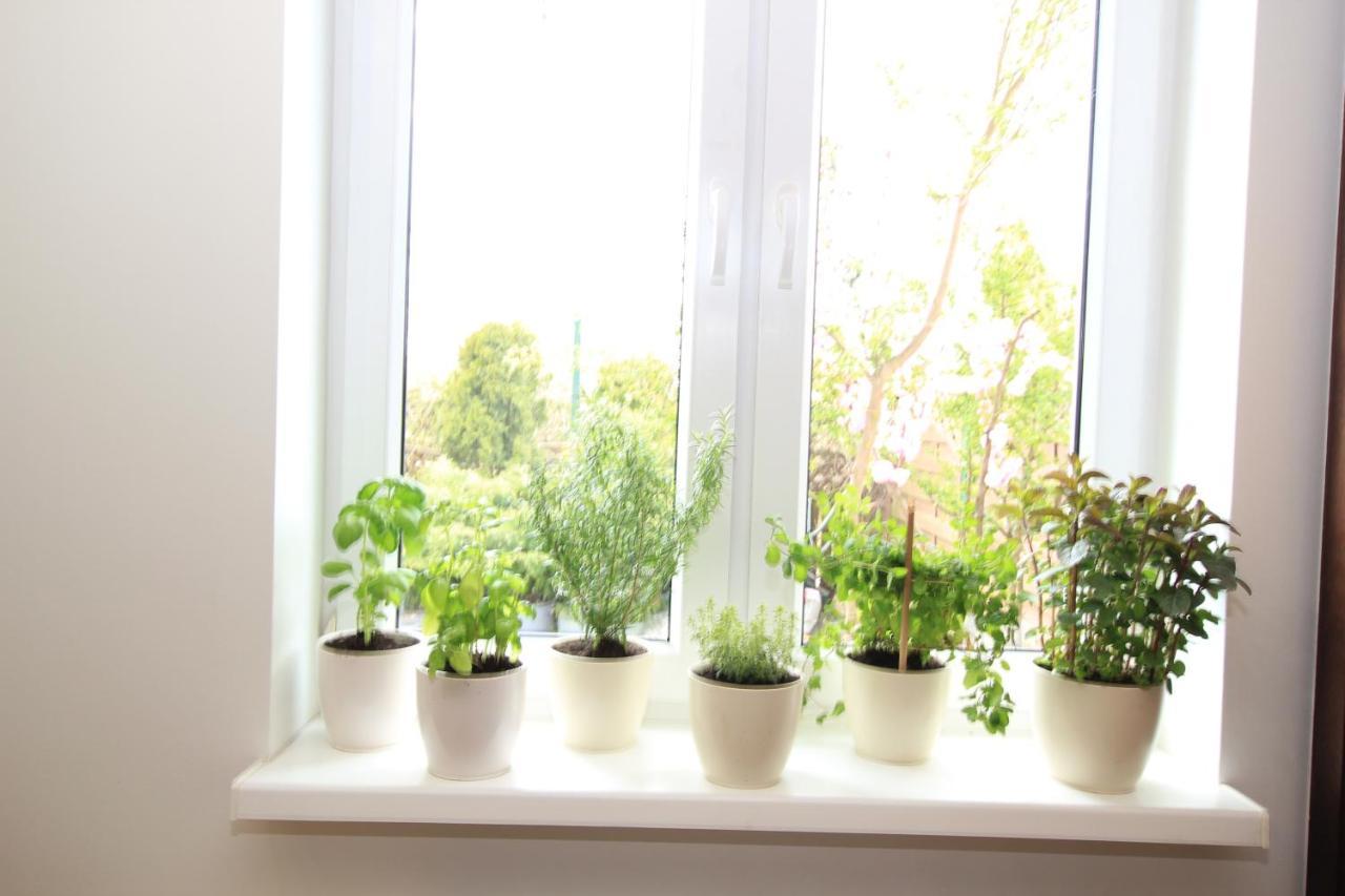 Lejlighed Apartament z ogrodem i grillem.