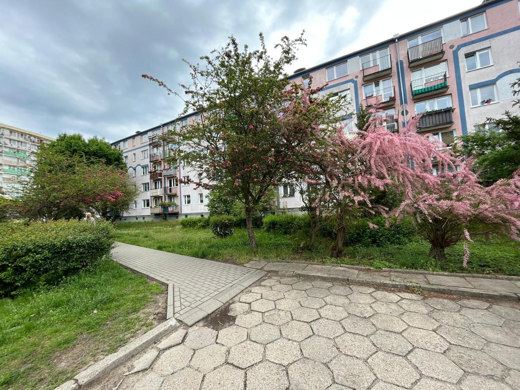 Apartament Wiewiorka Apartment *