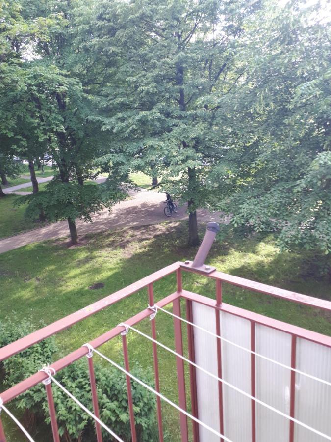 Plazowy *