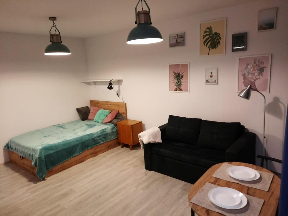 Apartament Orlowska
