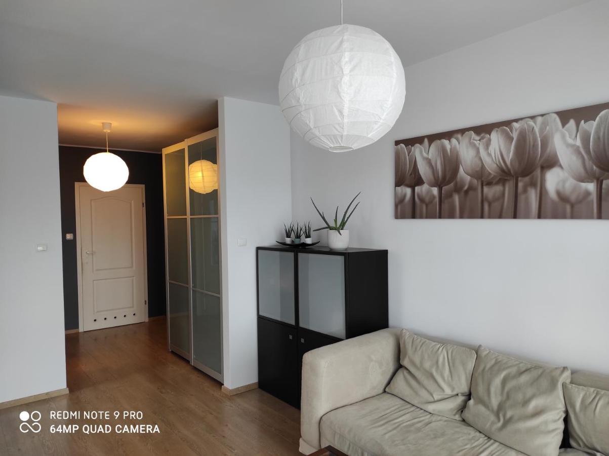 Apartament 3 Pokojowy Nieborowska