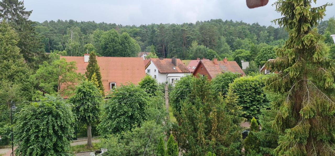 Klimatyczny Apartament W Oliwie Apartment *