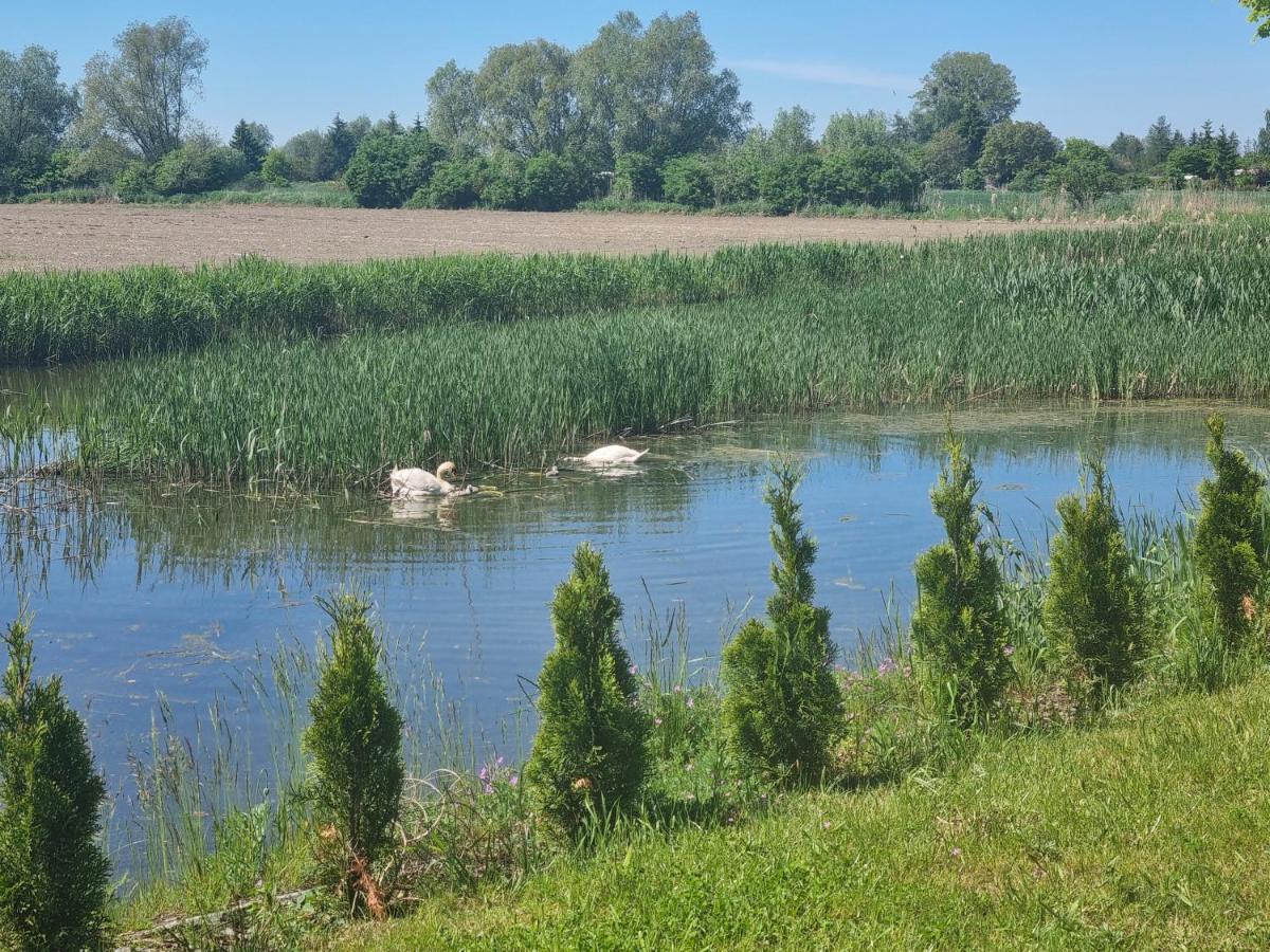 M&k Sailors Golden Yacht, - Wyspa Sobieszewska