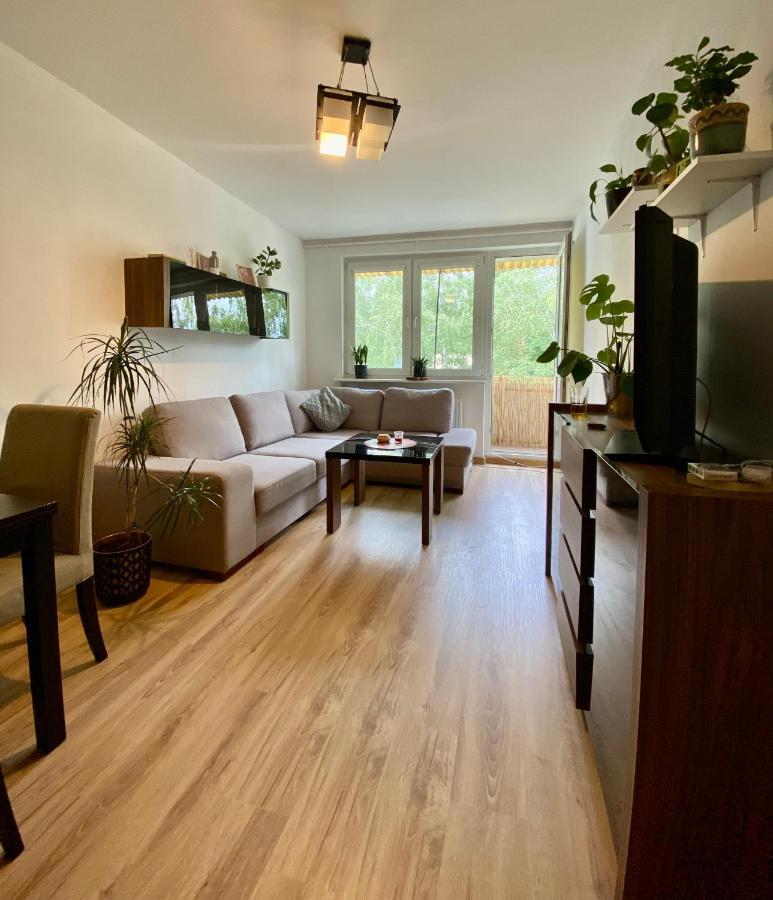 Apartment Oliwa