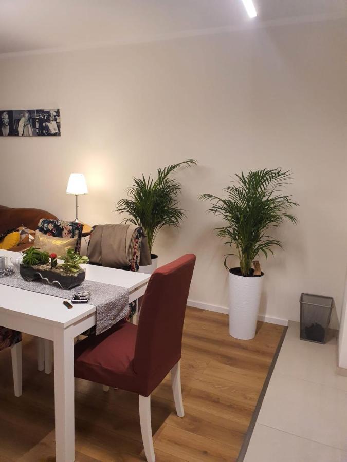 Apartment Apartament Dluga Grobla 8