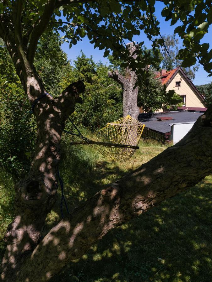 Wilenska *