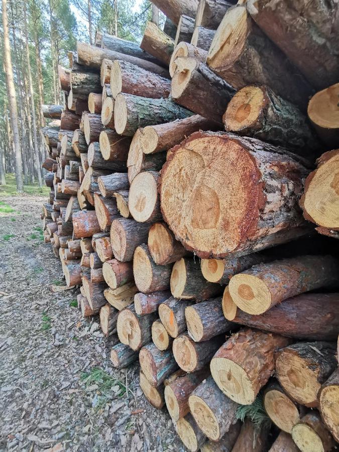 Lägenhet M&k Morska Fala, - Wyspa Sobieszewska *