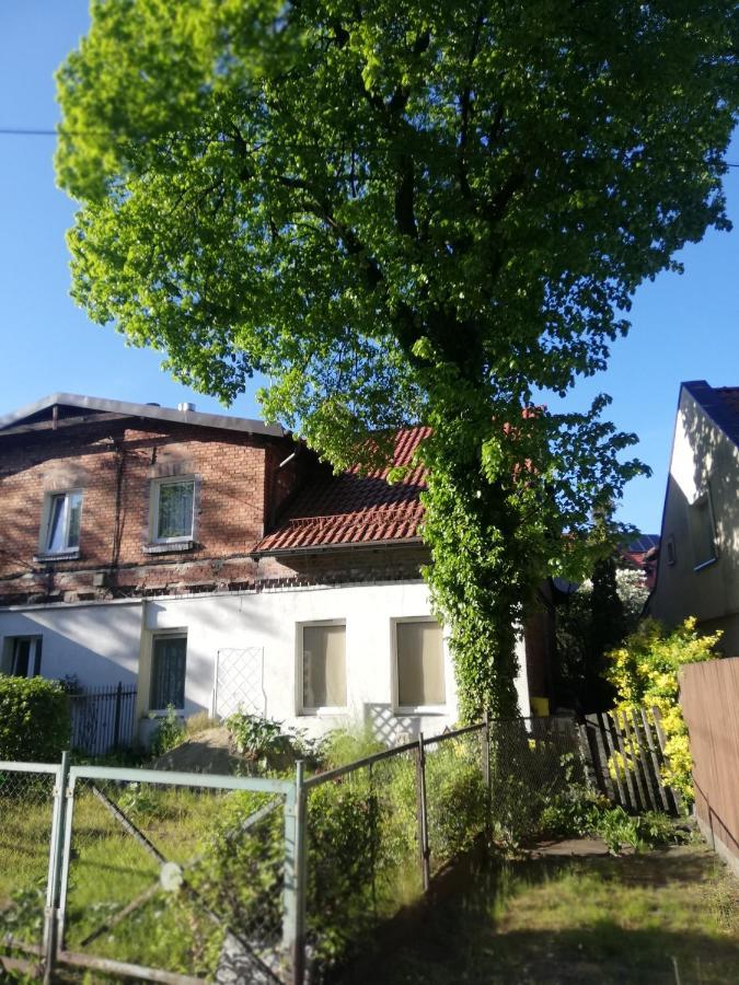 Lägenhet W Chacie Rybackiej Na Cichej Gdańsk