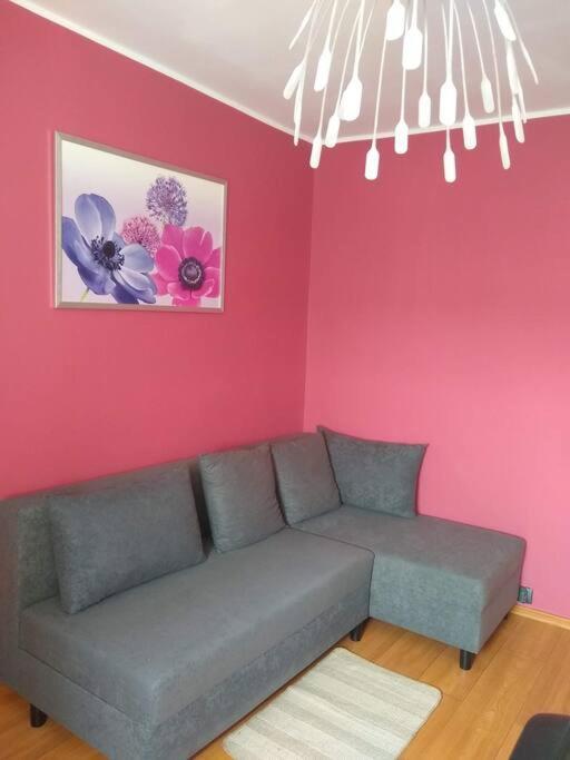 Apartament Z Widokiem Na Zatoke, Hel, Port I Lasy * Gdansk
