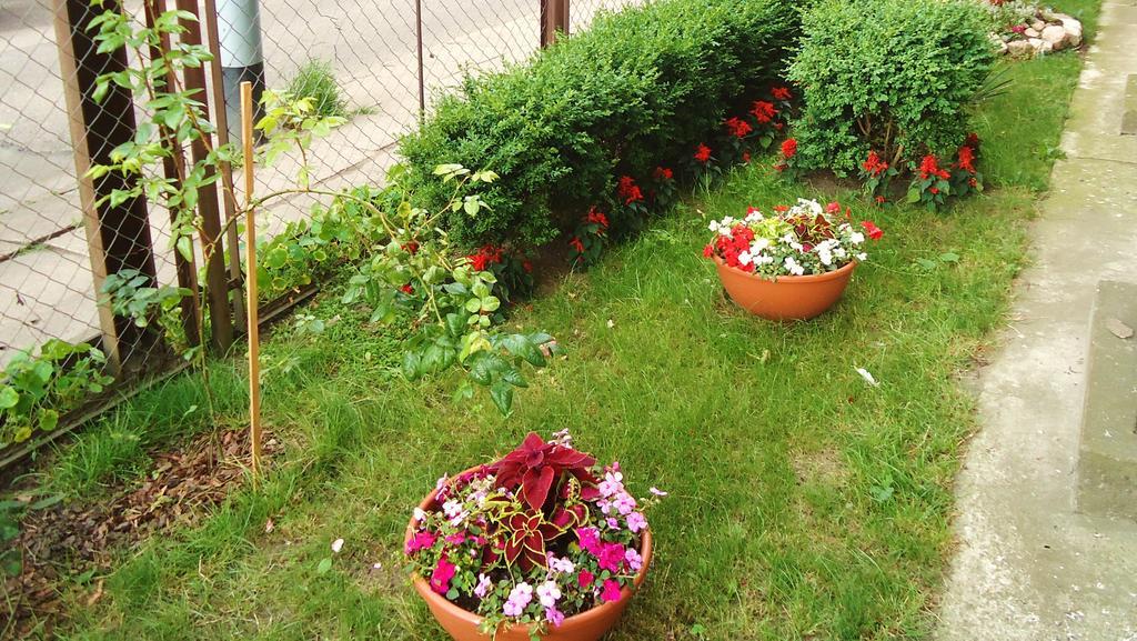 Apartament Politechniczna 12