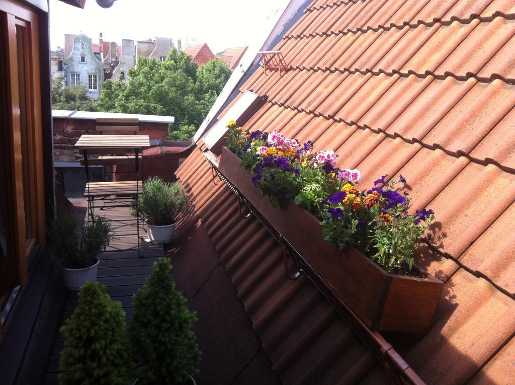 Piwna * Gdansk