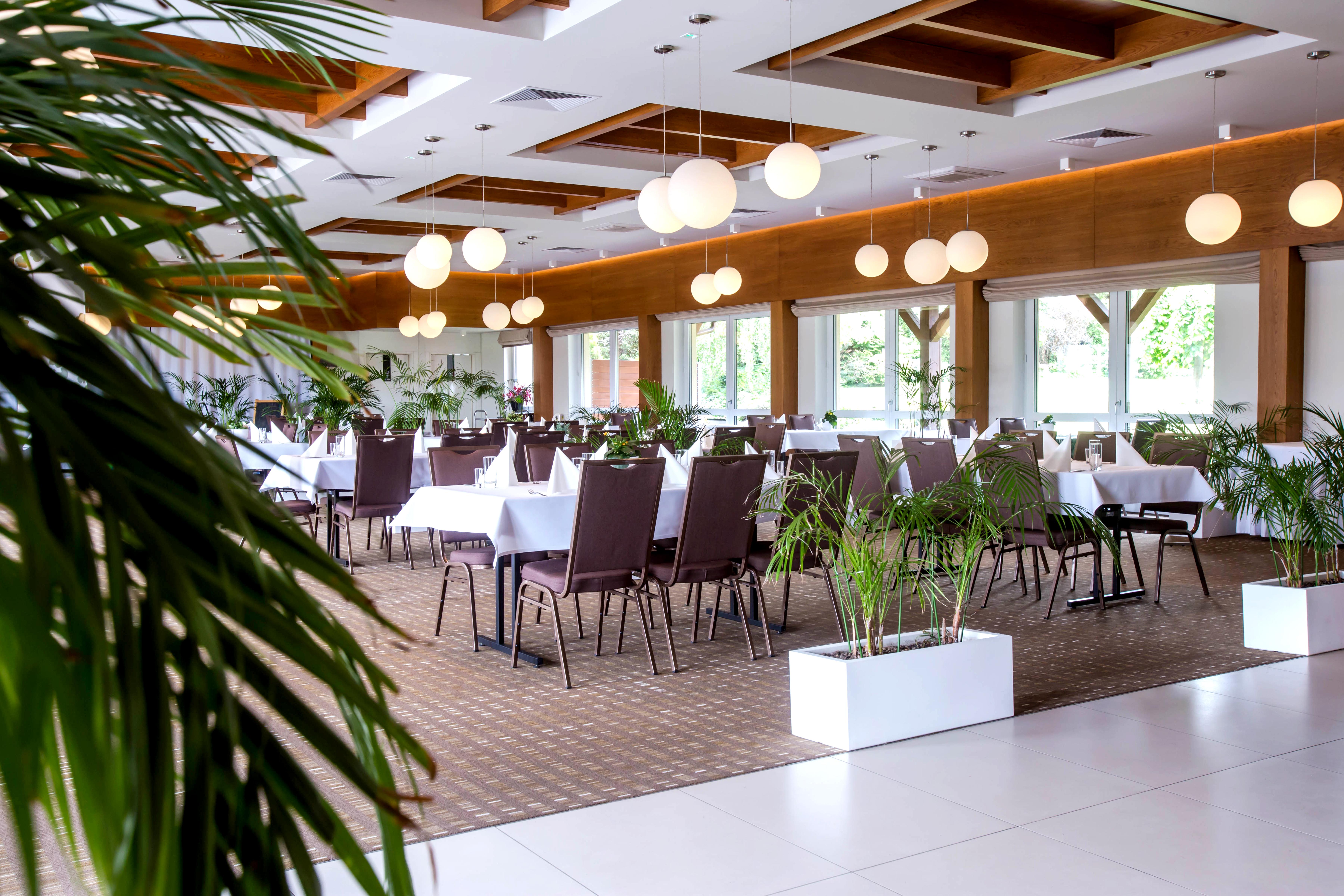 Hotel Platan