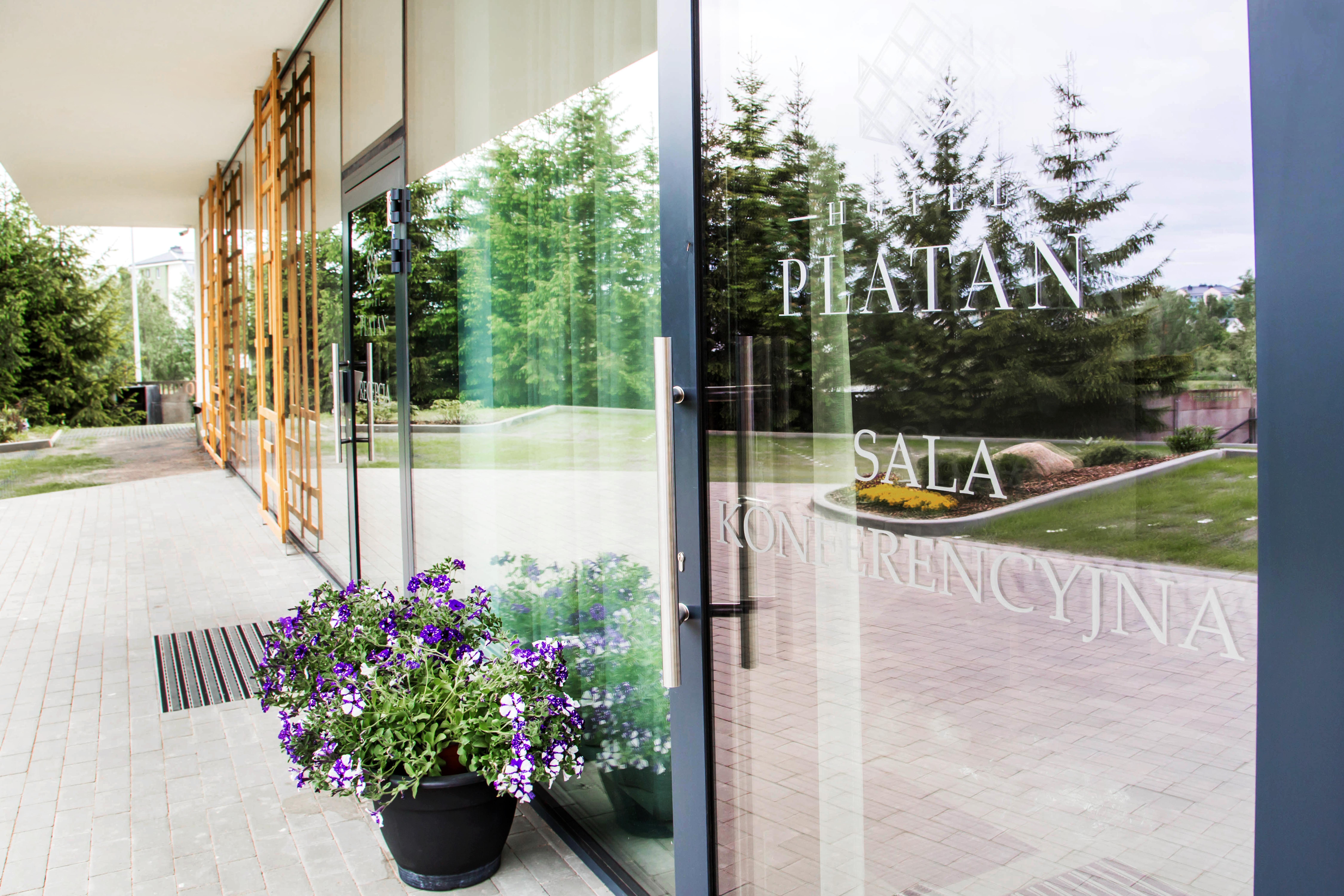Platan