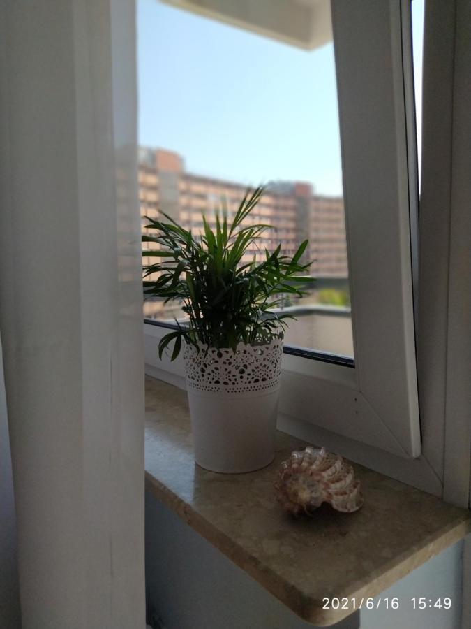 Fantastic By The Sea Set Up With Apartment *